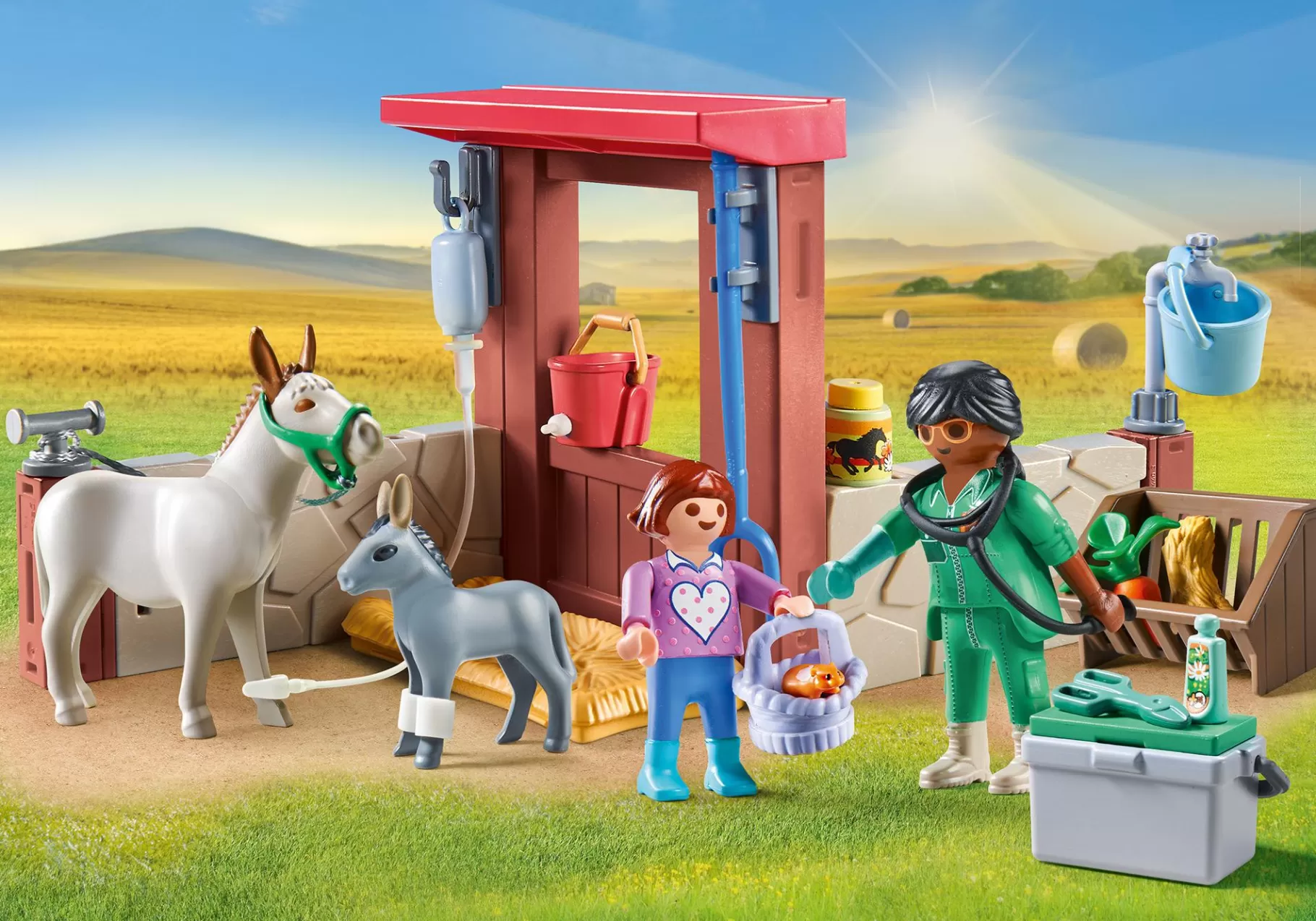 Zwierzęta | PLAYMOBIL Weterynarz z osiołkami